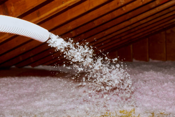 Best Cellulose Insulation in Palmer Lake, CO
