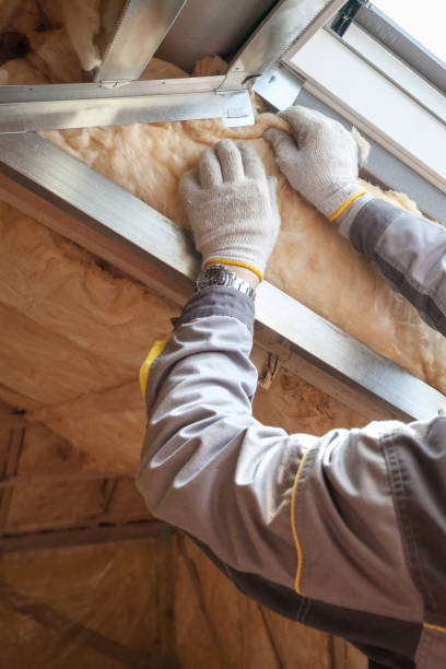 Best Residential Insulation in Palmer Lake, CO