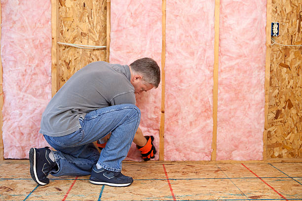 Best Specialized Insulation Services in Palmer Lake, CO