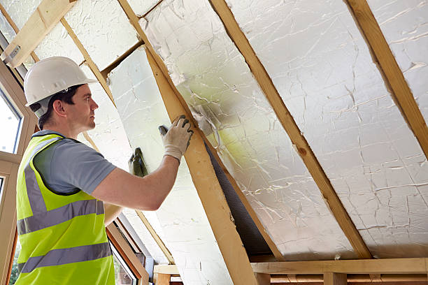 Best Geographic-Specific Insulation Services in Palmer Lake, CO
